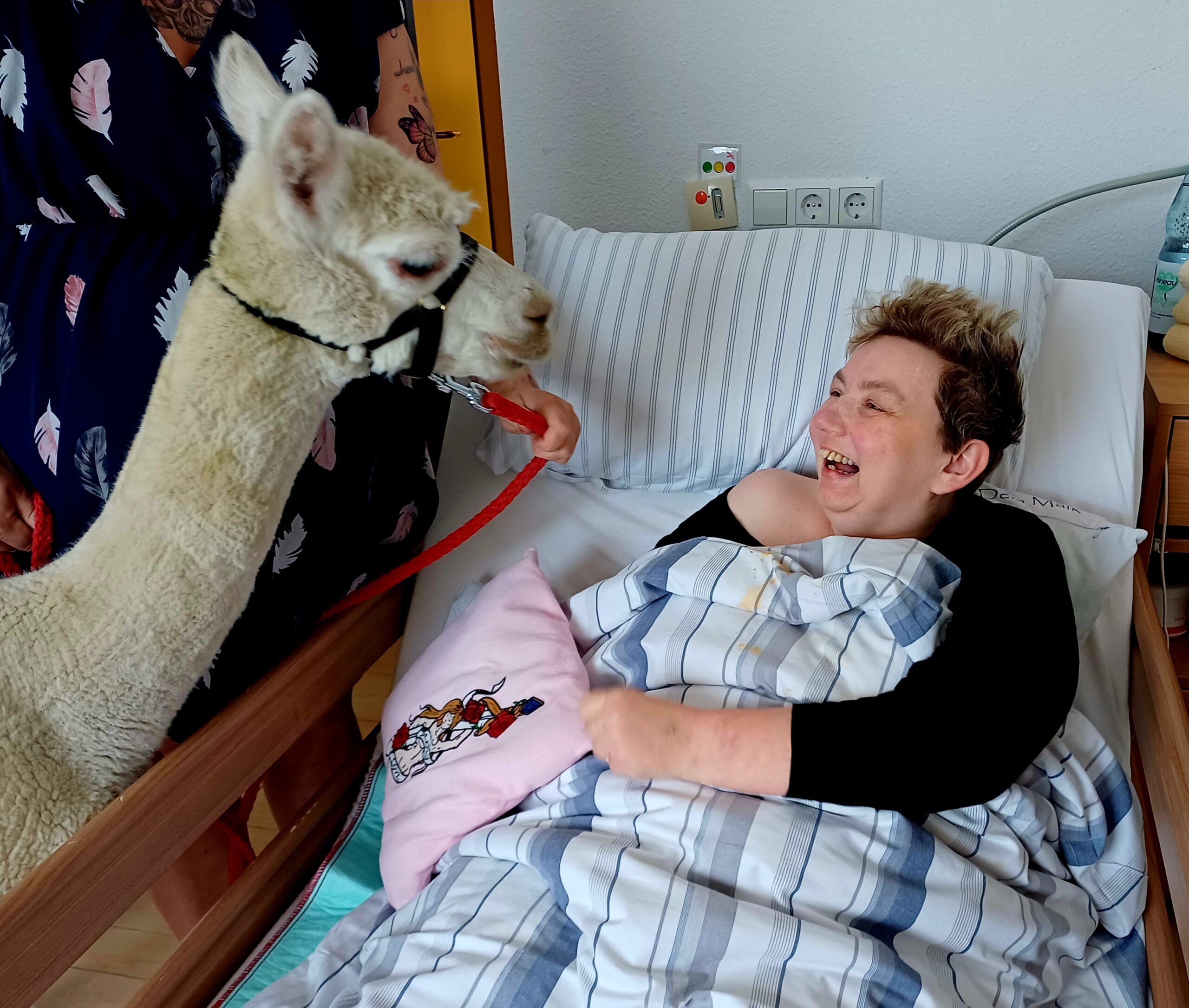 eine Bewohnerin mit einem Alpaka