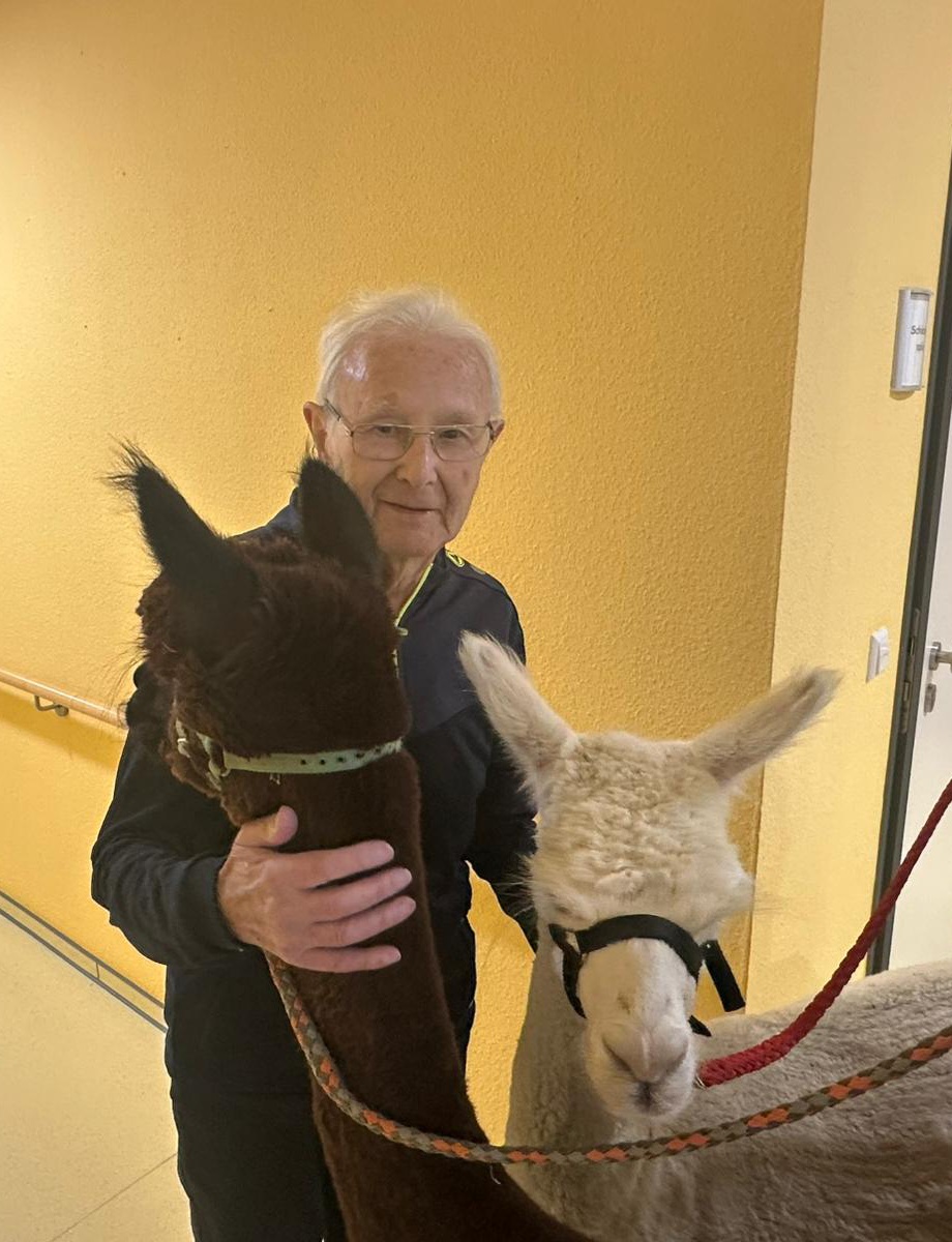 ein Bewohner mit den beiden Alpakas